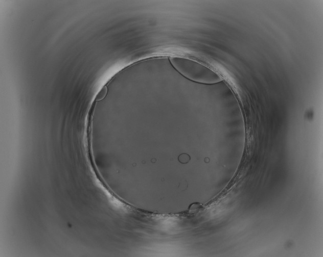 X0000091561103200708171320