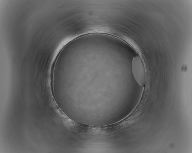 X0000091561104200708171320