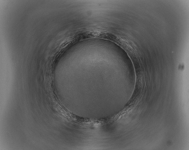 X0000091561105200708171320