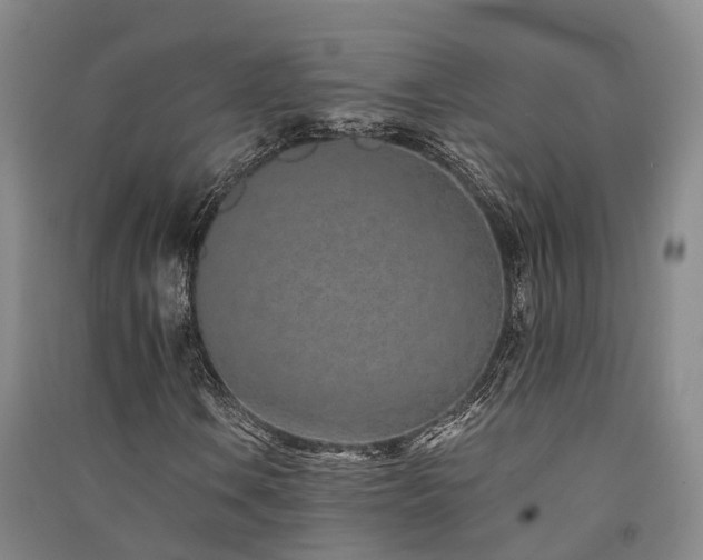 X0000091561106200708171320