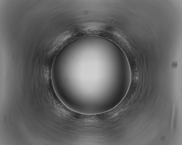 X0000091561108200708171320