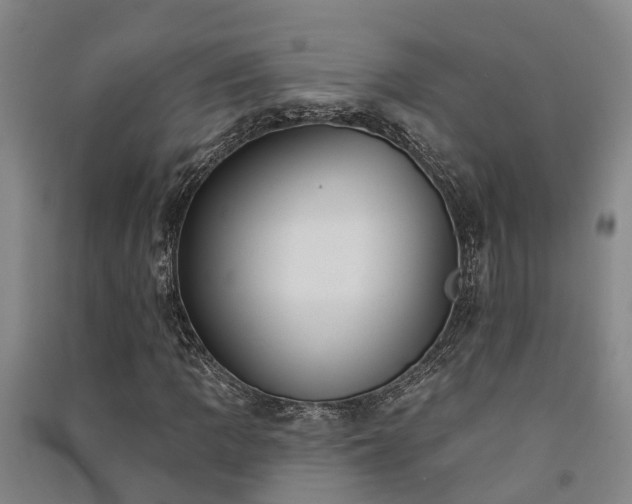 X0000091561109200708171320