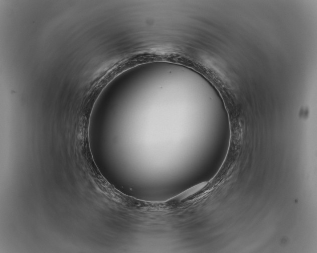 X0000091561110200708171320