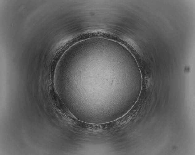 X0000091561111200708171320