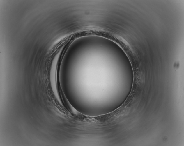 X0000091561112200708171320