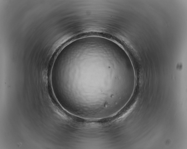 X0000091561113200708171320