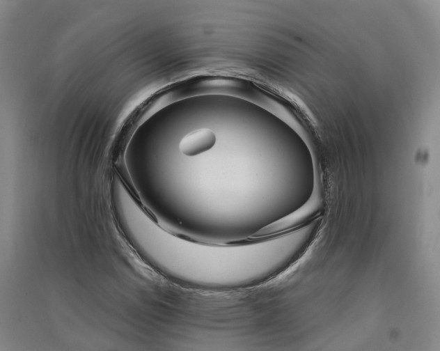 X0000091561114200708171320