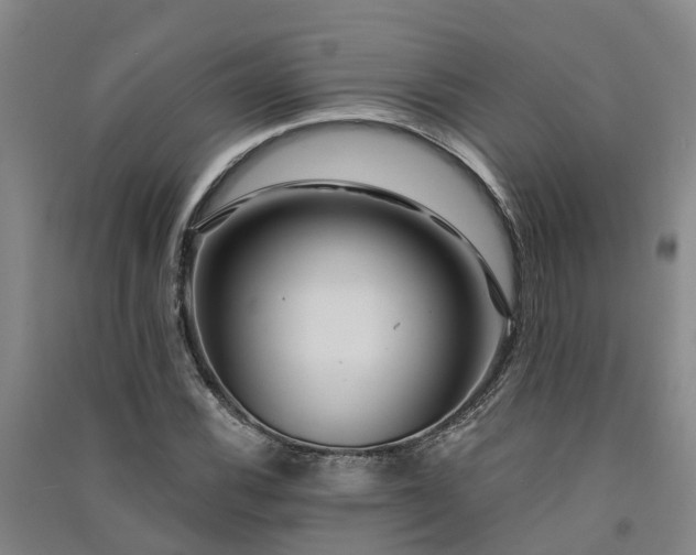 X0000091561116200708171320