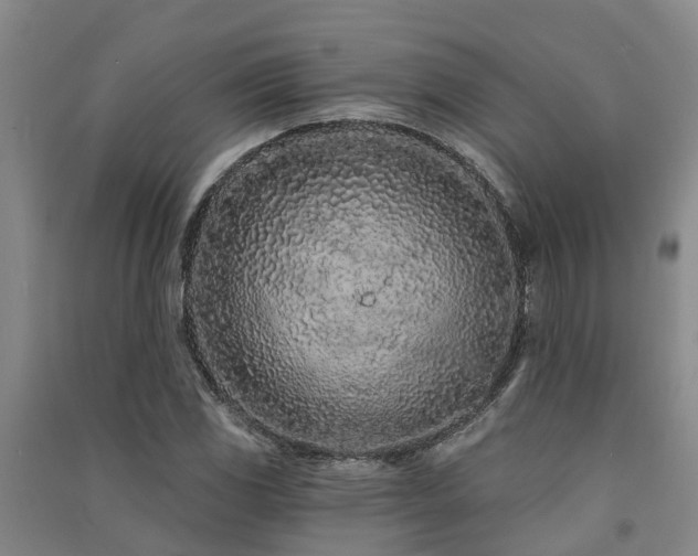 X0000091561117200708171320