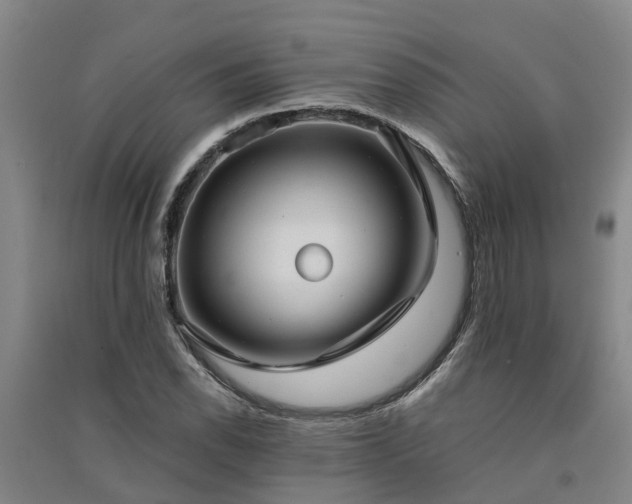 X0000091561118200708171320