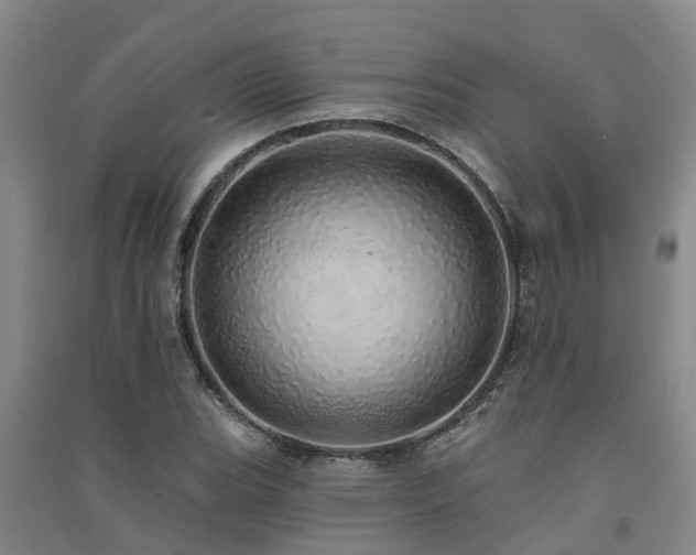 X0000091561119200708171320