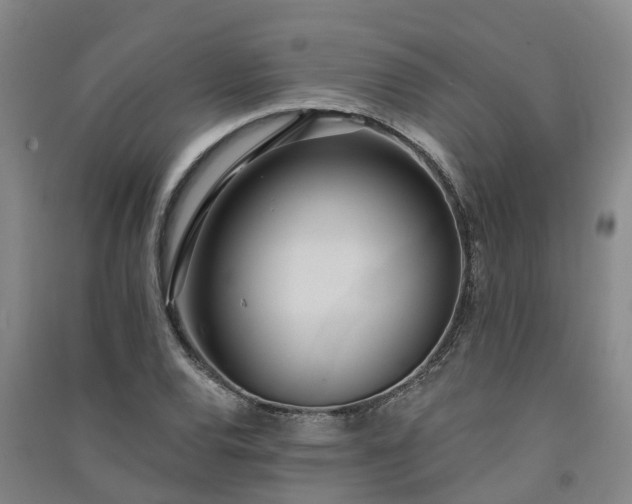 X0000091561120200708171320