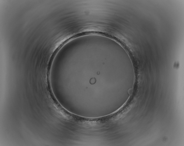 X0000091561121200708171320