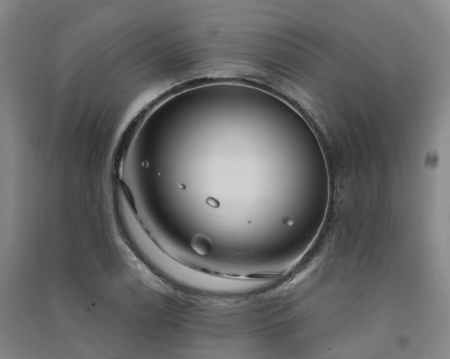 X0000091561122200708171320