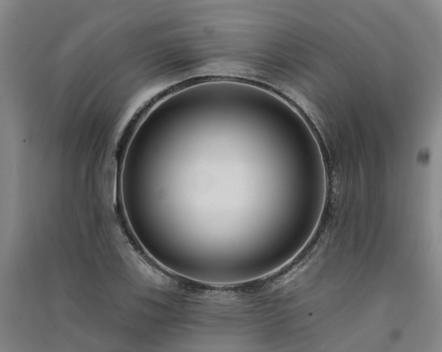 X0000091561123200708171320