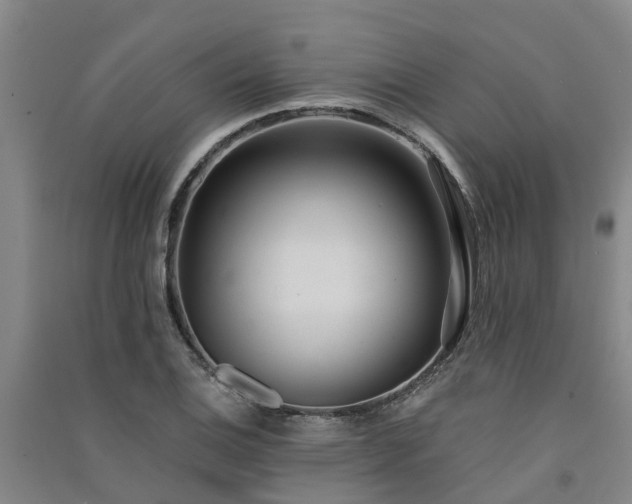 X0000091561124200708171320