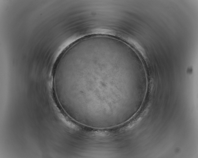 X0000091561125200708171320