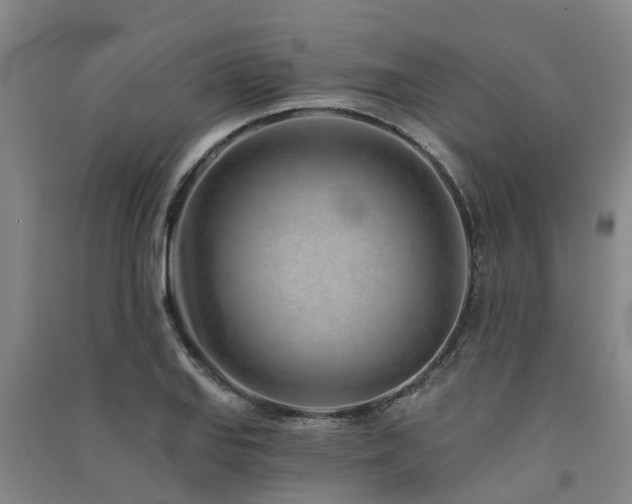 X0000091561127200708171320