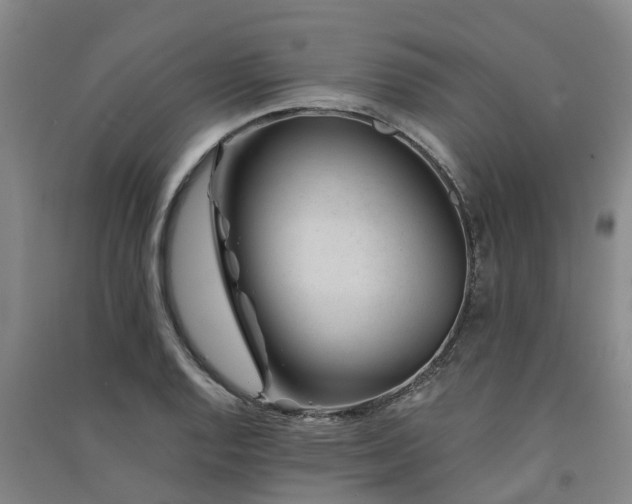 X0000091561128200708171320