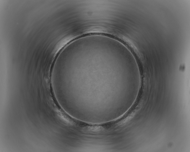 X0000091561129200708171320