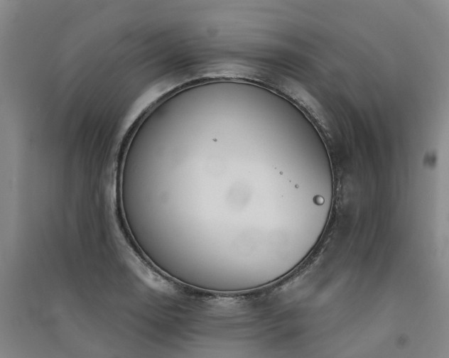 X0000091561130200708171320