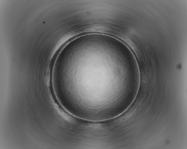 X0000091561131200708171320