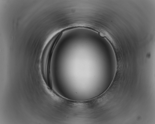 X0000091561132200708171320