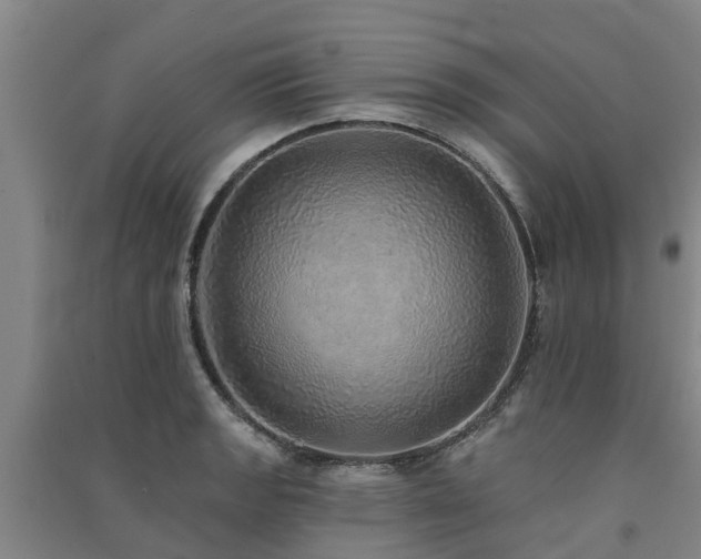 X0000091561133200708171320