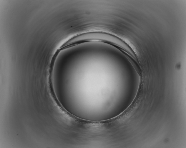 X0000091561134200708171320