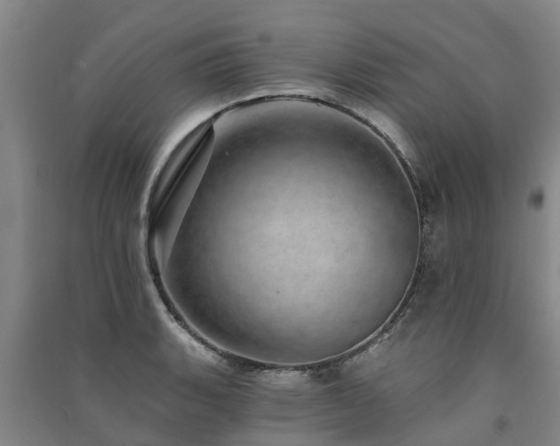 X0000091561135200708171320