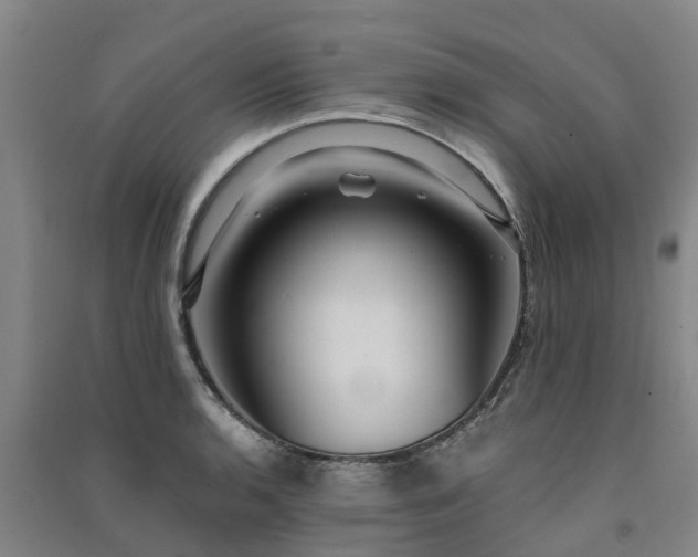 X0000091561136200708171320