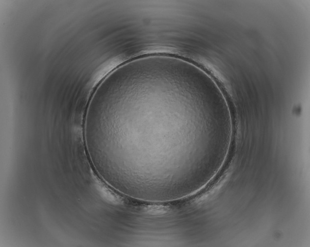 X0000091561137200708171320