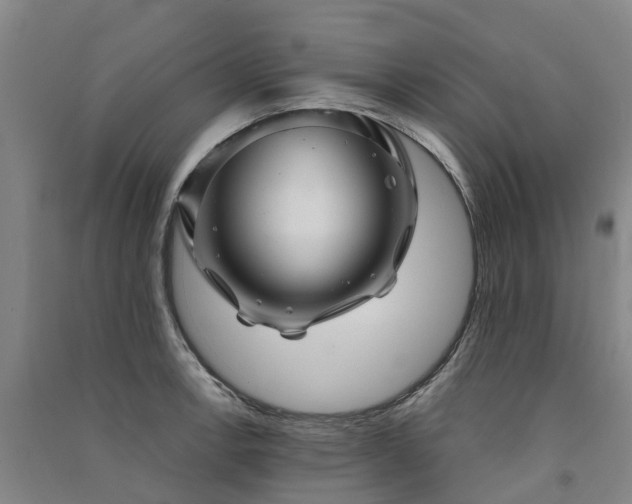 X0000091561138200708171320