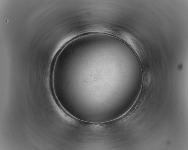 X0000091561139200708171320