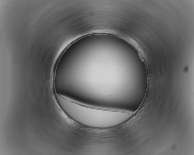 X0000091561140200708171320