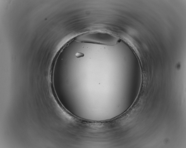 X0000091561141200708171320