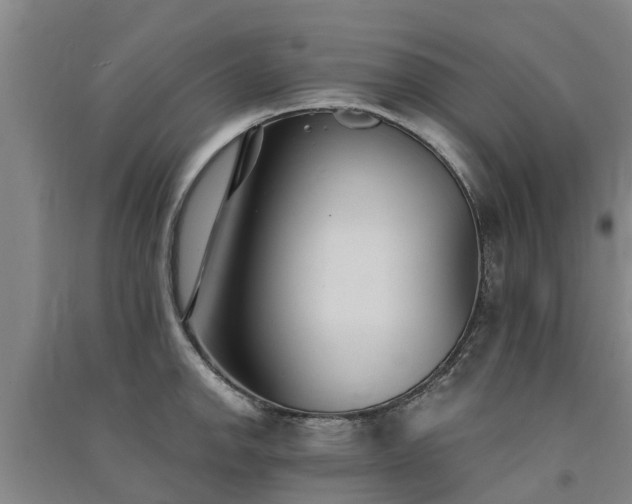 X0000091561142200708171320