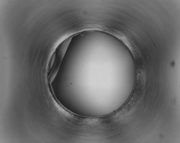 X0000091561143200708171320