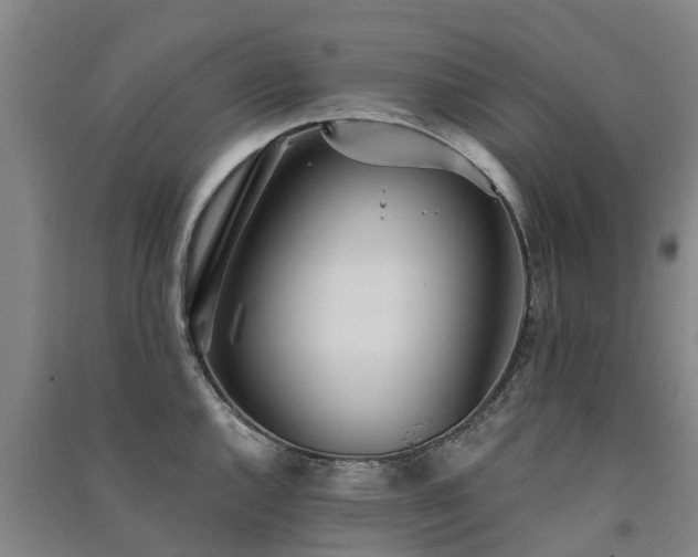 X0000091561144200708171320