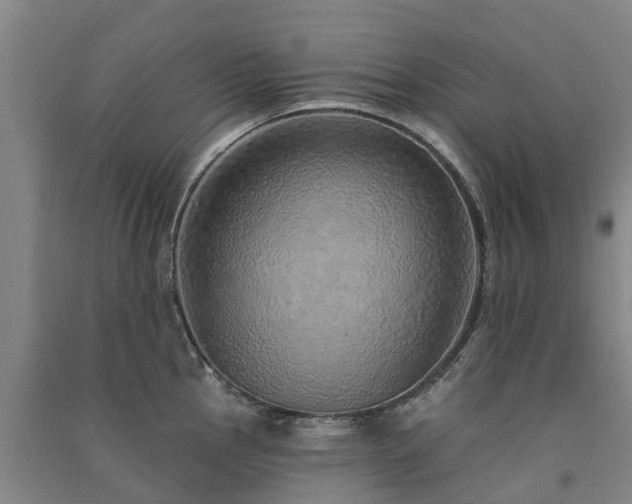 X0000091561145200708171320