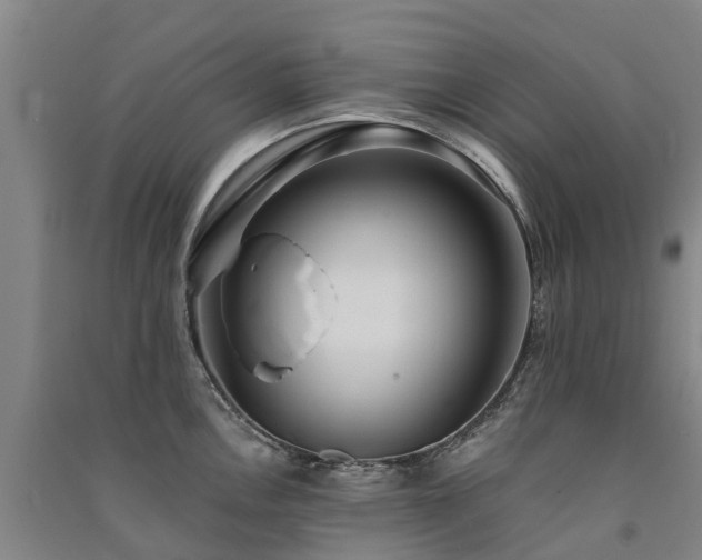 X0000091561146200708171320