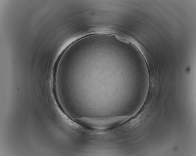 X0000091561147200708171320