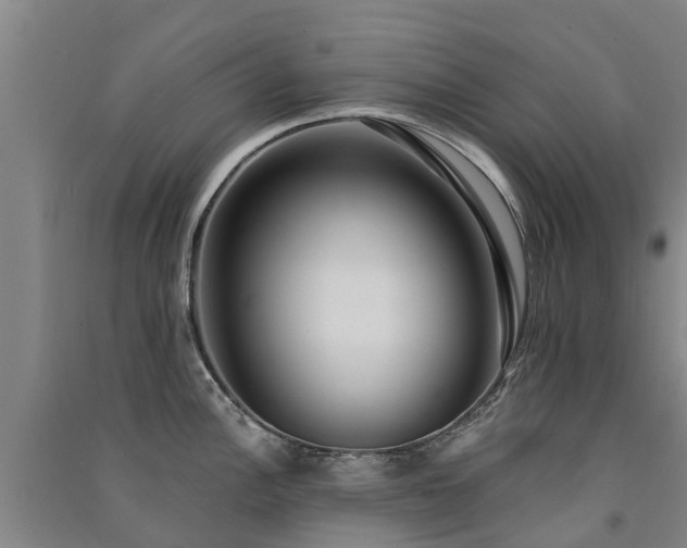 X0000091561148200708171320