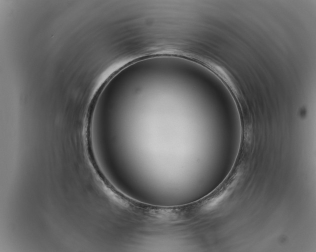 X0000091561149200708171320