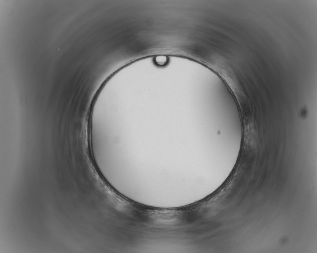 X0000091561150200708171320