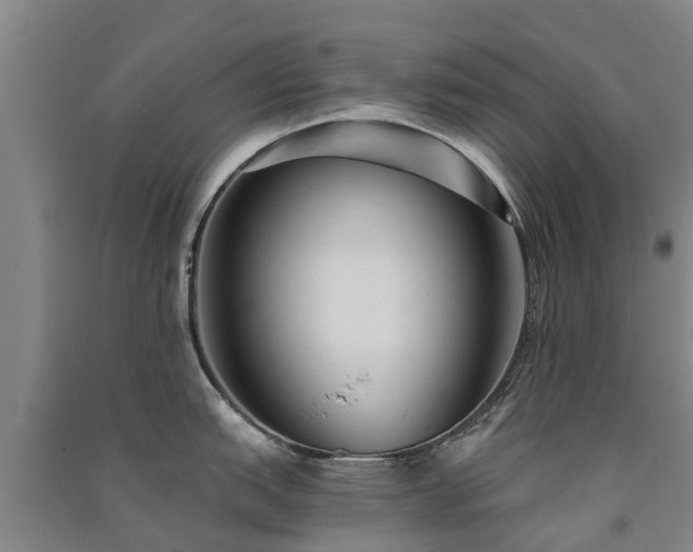 X0000091561151200708171320