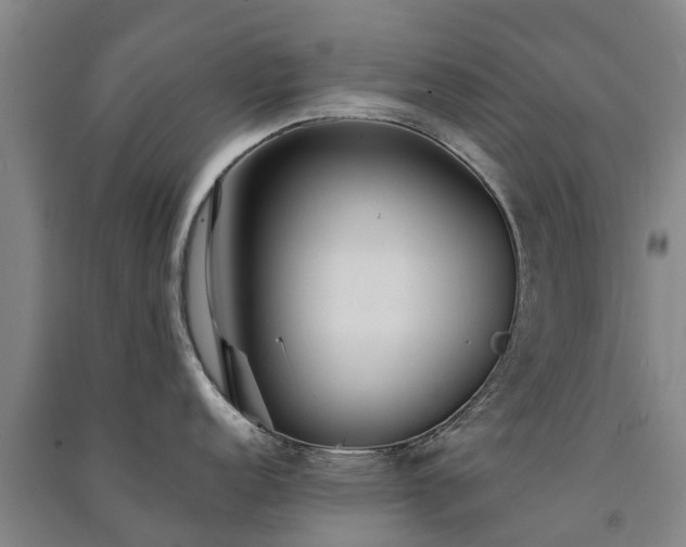 X0000091561152200708171320