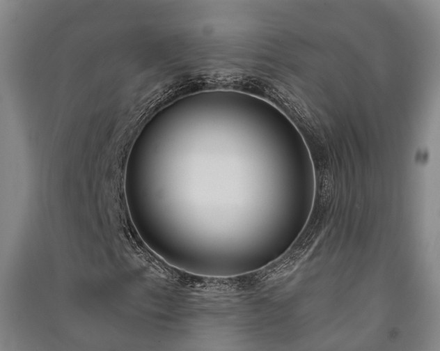 X0000091561153200708171320