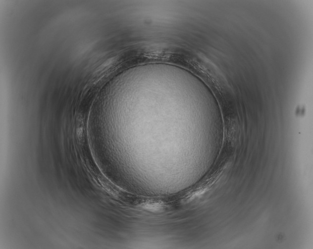 X0000091561154200708171320