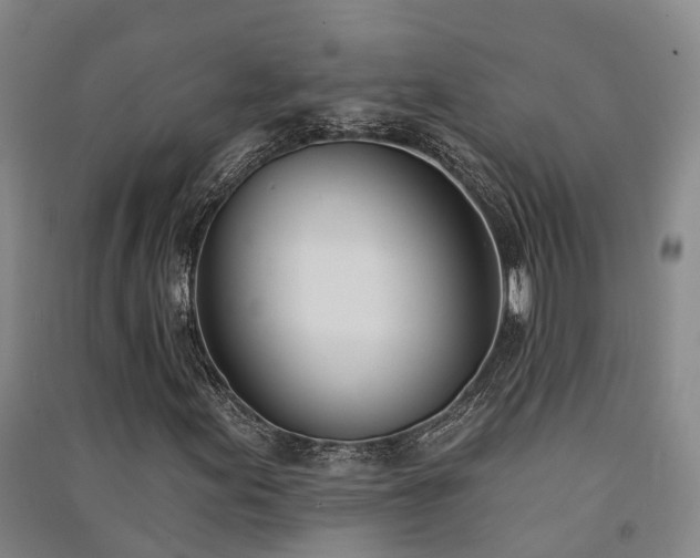 X0000091561155200708171320